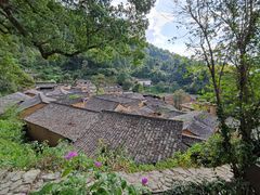 -杨家堂村