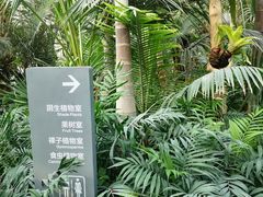 -国家植物园南园