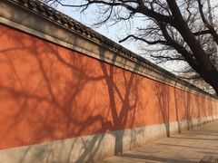 -国家图书馆·古籍馆