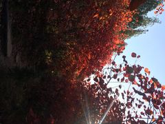 -龙洞风景区-藏龙涧