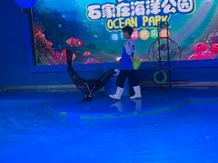 -石家庄海洋公园