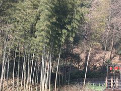 -古隆中景区