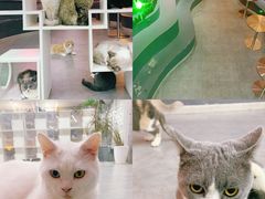 -极木²邸 人与宠物·互动社区