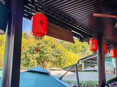 -阿巧茶庄
