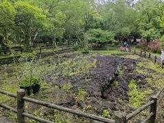 -海口火山口国家地质公园