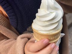 -麦当劳(南后街店)