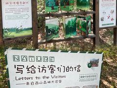 -北京西山国家森林公园