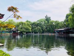 -百脉泉景区