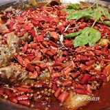 开源齐庆美蛙