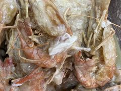 奶油罗氏虾-贞姨美食·老字号海鲜大排档