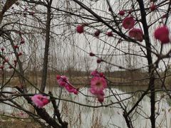 -南湖湿地公园