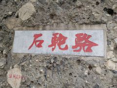 -阳台山自然风景区