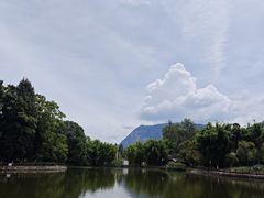 -云南民族村