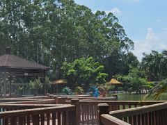 -揭东万竹园旅游景区