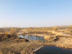 -东郊湿地公园