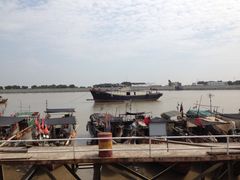-大湾区中央湿地公园