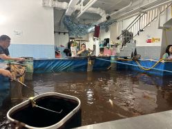 -巡鱼道·室内垂钓·渔具店