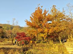 -塔川景区