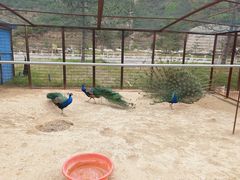 -山西乌金山旅游区