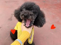 -MOLLY'S萌宠生活馆