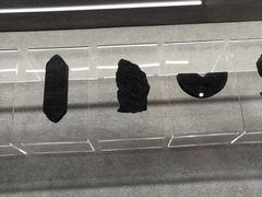 -徐汇艺术馆