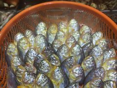 -浙C老邻舍(西城海错店)