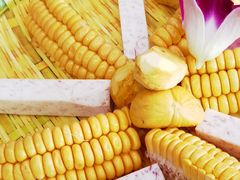 -墨脱石锅椰子鸡•香草鸭•东山羊(大东海店)