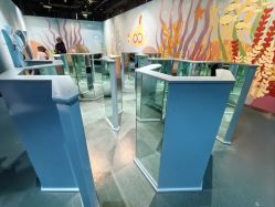 -北京科学中心儿童乐园