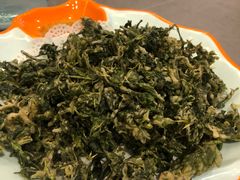 -向外鱼乐·土菜·虹鳟鱼