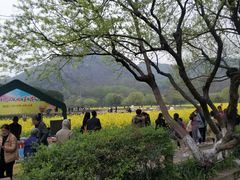 -西湖风景区-江洋畈生态公园