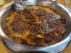 -金鼎雪山牦牛杂火锅(理县总店)