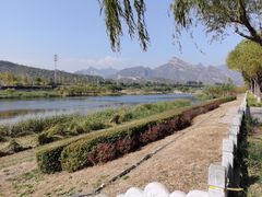 -永定河休闲森林公园