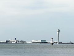 -上海滨江森林公园