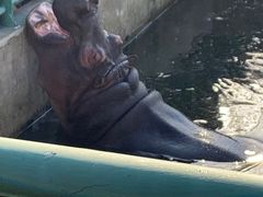 -宿豫区运河湾森林动物园