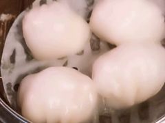虾饺-点点心点心专门店(湾仔店)