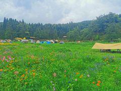 -武陵山森林公园