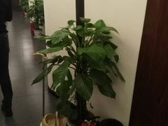 -一江水食府(后湖店)