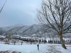 -金岳台私汤温泉度假山庄·创意餐厅(昌平十三陵店)