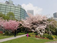 -北外滩滨江绿地