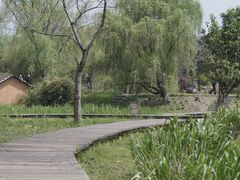 -西溪国家湿地公园