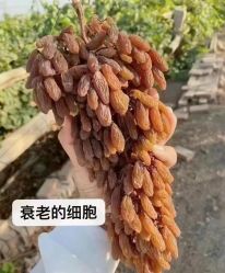 -名发世家烫染