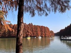 -上海海湾国家森林公园