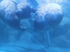 -哈尔滨波塞冬海底世界