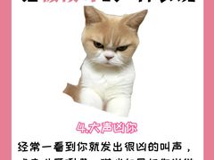 -纳吉亚猫专科动物诊疗中心(蒋宅口分院)