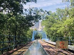 -富斯特索道