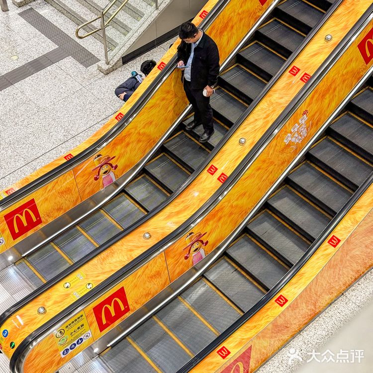 打工人续命指南！早起的动力找到了！