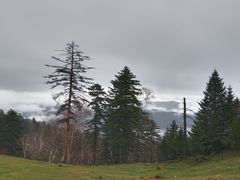 -老秃顶草原景区