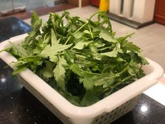 菊花苗-正能量脆肉鲩火锅