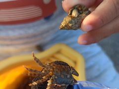 -碧桂园十里银滩