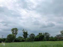 -良渚古城遗址公园